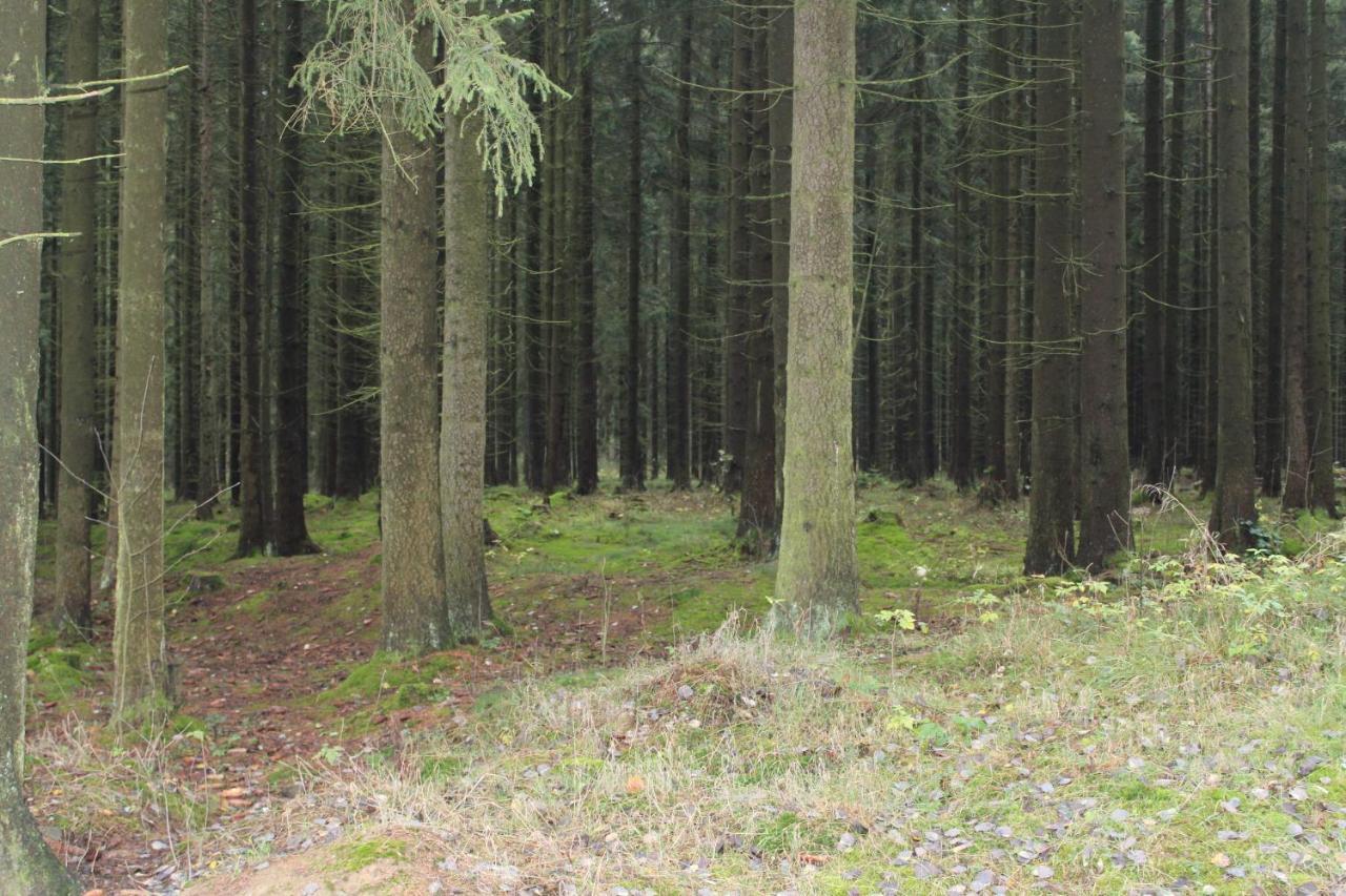 Zumseehoernchen Haus Schmetterling Tanna Eksteriør bilde